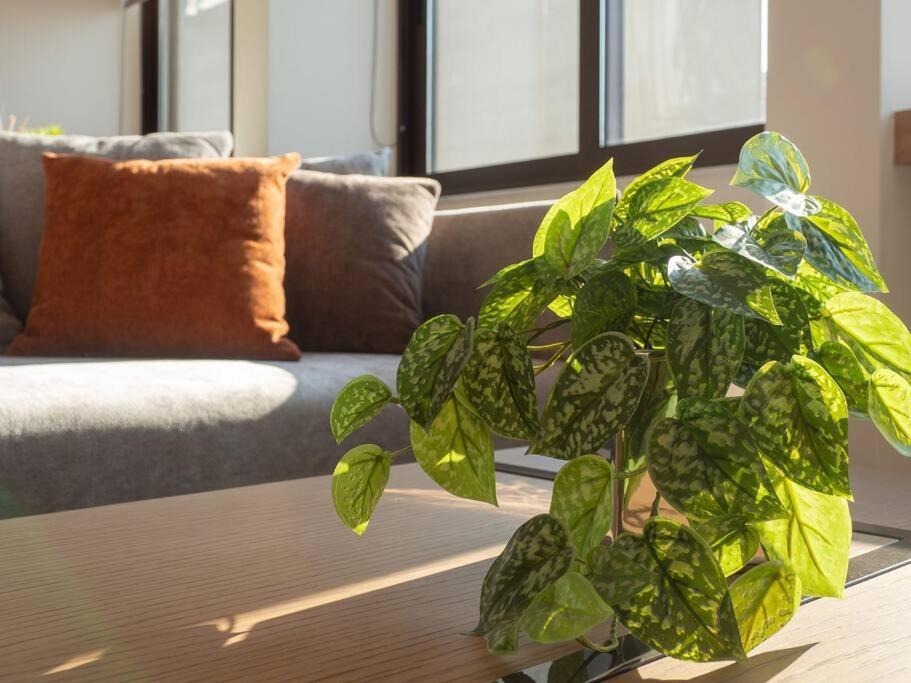 Athinais Luxury Studio 2 أثينا المظهر الخارجي الصورة